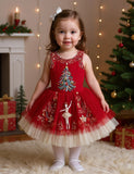 Christmas Ballet Tulle Appliqué Dress