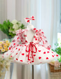 Valentine's Day Love Princess Dress