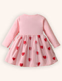 Love Embroidery Tulle Long Sleeve Princess Dress
