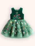Christmas Floral Robin Tulle Appliqué Dress