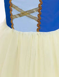 Snow White Mesh Party Dress - Mini Taylor