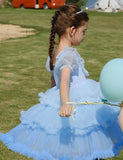 Gradient Tulle Princess Dress